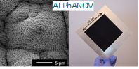 Fig.2 Alphanov Article Mouchetis