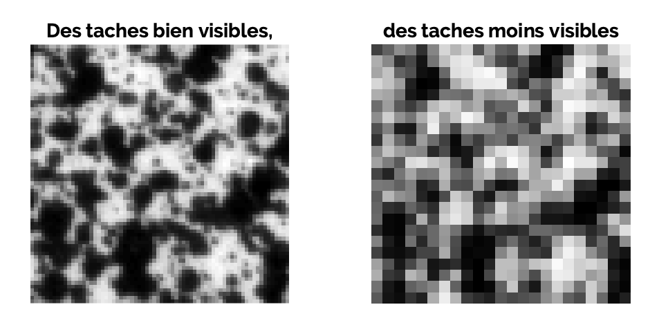 mouchetis DIC