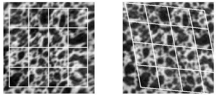 Champ de déplacement calculé par DIC sur un maillage éléments finis